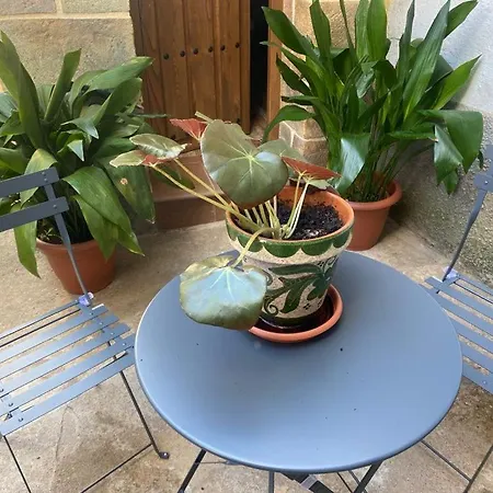 El Rincon De La Iglesia